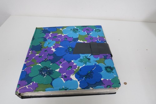 Schallplattenalbum mit lps - schallplattenalbum,